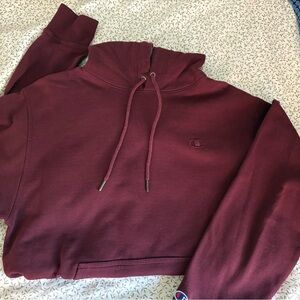 Champion Men’s Powerblend Fleece Hoodie